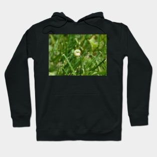 Holding on for Dear Life Hoodie